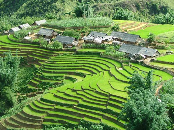 Lao Chải Sapa